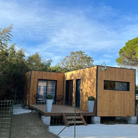 Chalet Contemporain مونْتوبا المظهر الخارجي الصورة